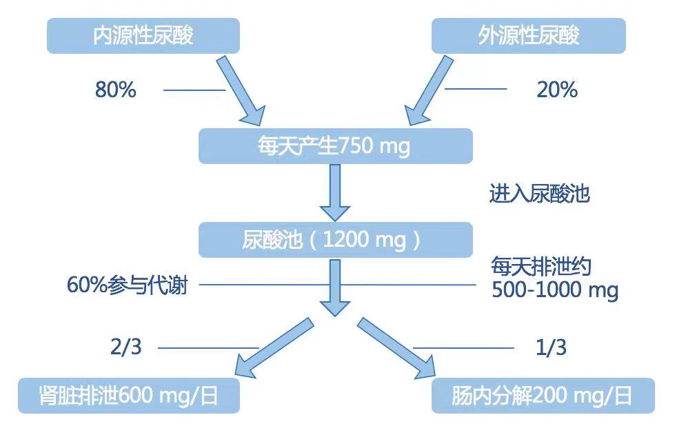 abac8f9ec523b1456ca6f4fb67d8d24.jpg