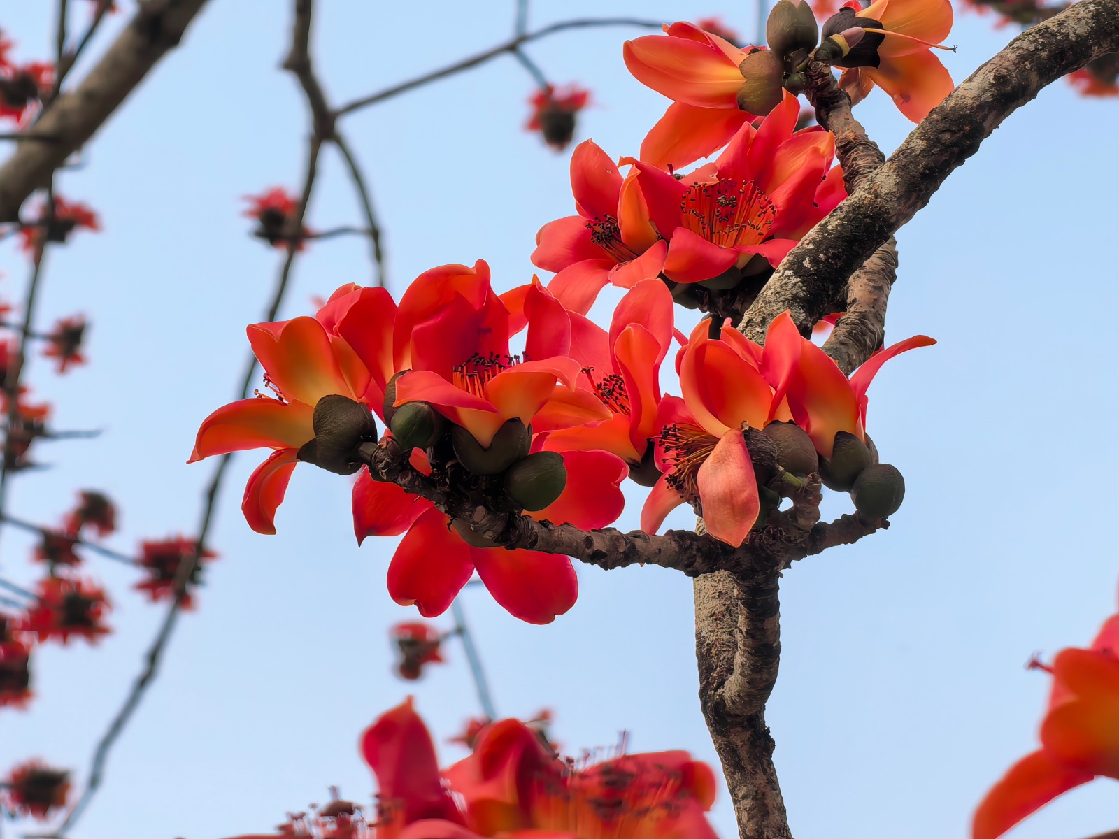 1773028555.jpg 1773028555.jpg